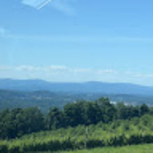 Meet your Posher, Cyanne